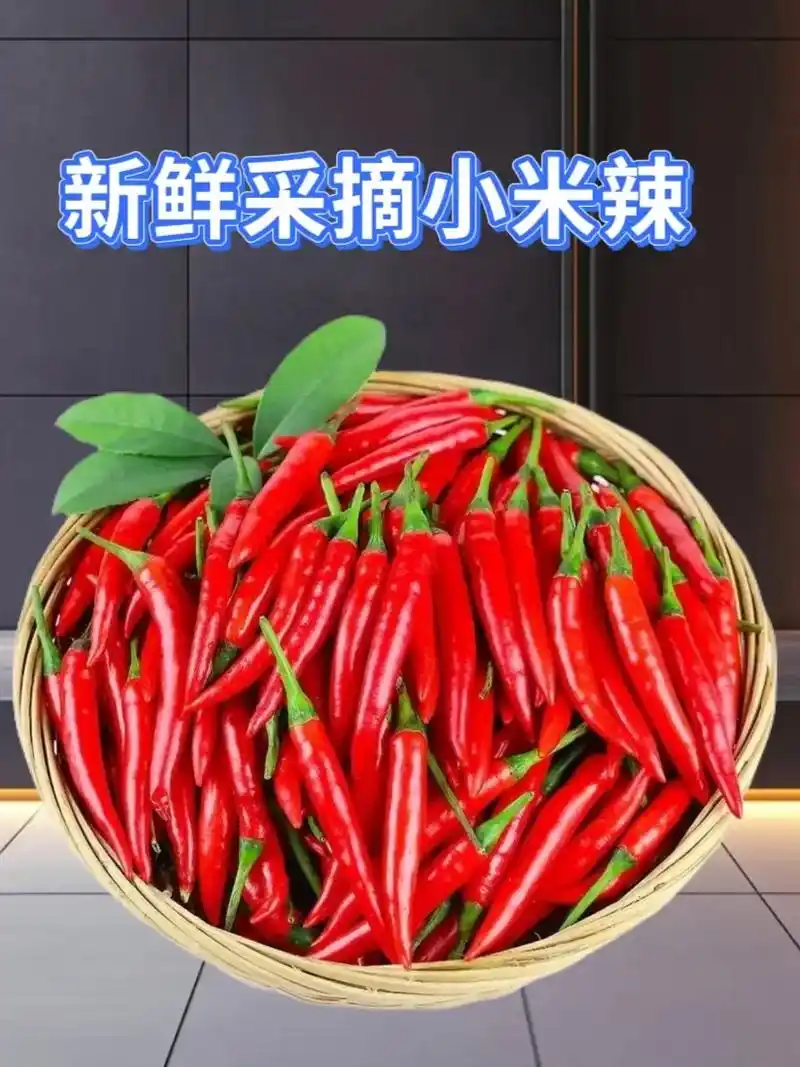 红小米辣500g